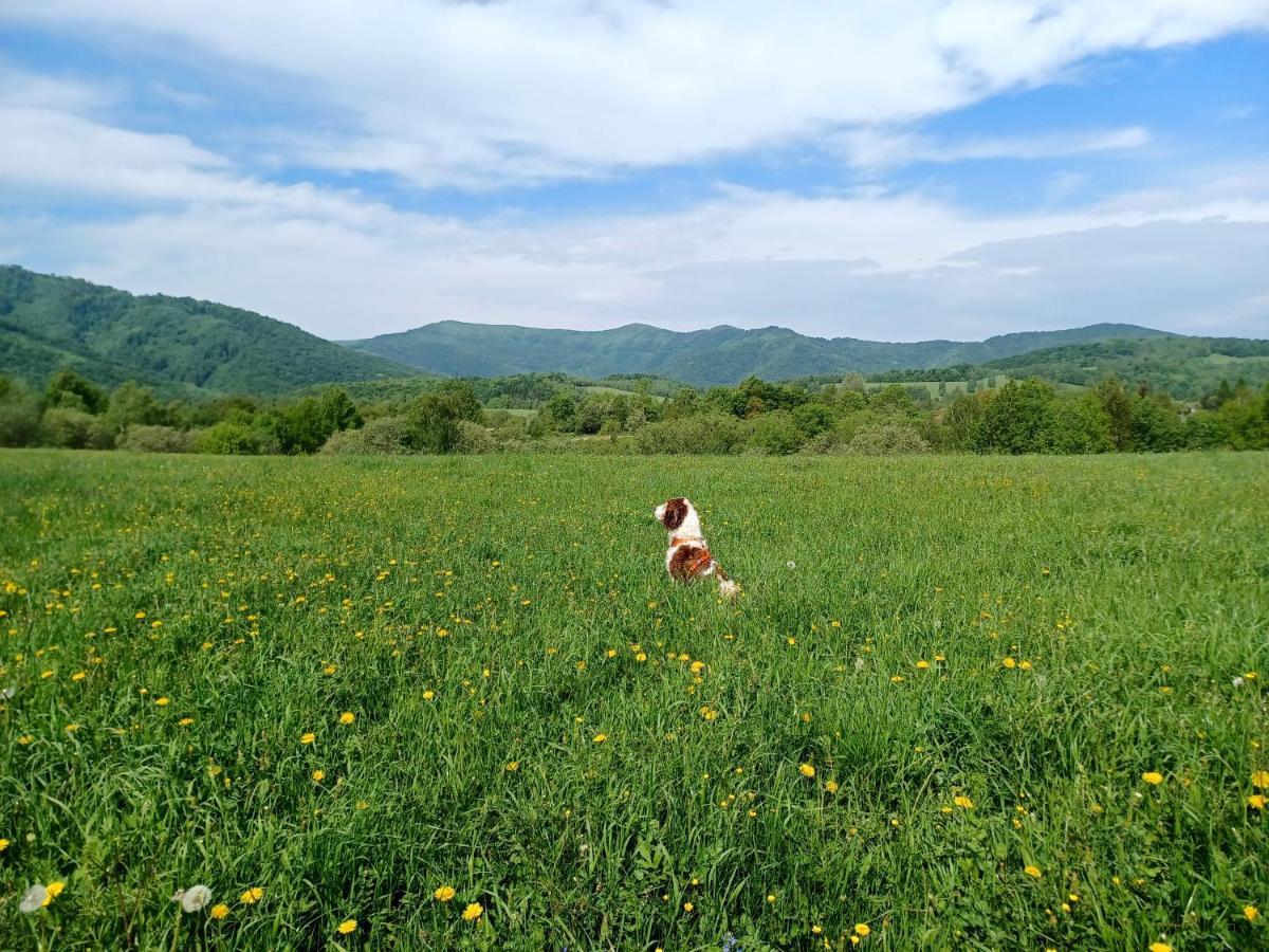 Turisticka Ubytovna Chalupa Runina 8 外观 照片